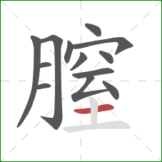 膣的笔顺第13画：横