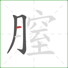 膣的笔顺第3画：横