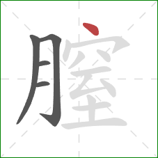 膣的笔顺第5画：点