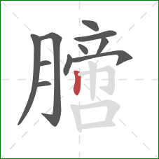 膪的笔顺第11画：竖