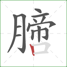 膪的笔顺第14画：竖