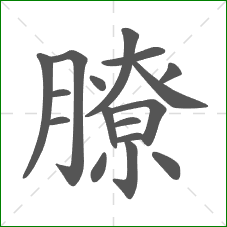 膫的部首 膫的部首