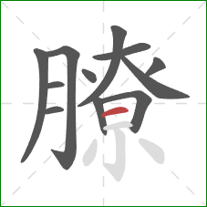 膫的笔顺第12画:横 膫的笔顺第12画:横