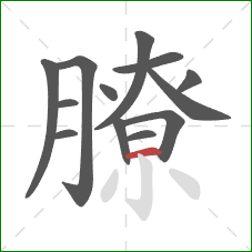 膫的笔顺第13画:横 膫的笔顺第13画:横