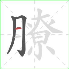 膫的笔顺第3画:横 膫的笔顺第3画:横