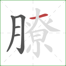 膫的笔顺第5画:横 膫的笔顺第5画:横