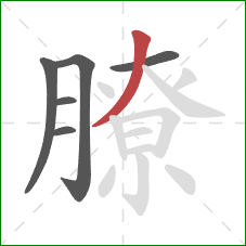 膫的笔顺第6画:撇 膫的笔顺第6画:撇