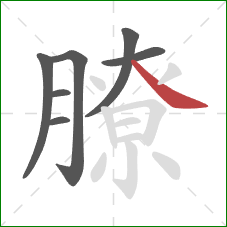 膫的笔顺第7画:捺 膫的笔顺第7画:捺