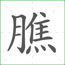 膲的部首 膲的部首