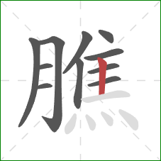 膲的笔顺第11画:竖 膲的笔顺第11画:竖