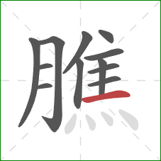 膲的笔顺第12画:横 膲的笔顺第12画:横