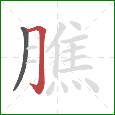 膲的笔顺第2画:横折钩 膲的笔顺第2画:横折钩