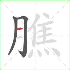 膲的笔顺第3画:横 膲的笔顺第3画:横