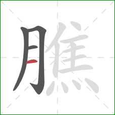 膲的笔顺第4画:横 膲的笔顺第4画:横