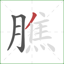 膲的笔顺第5画:撇 膲的笔顺第5画:撇