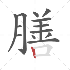 膳的笔顺第14画：竖