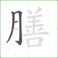 膳的笔顺第3画：横