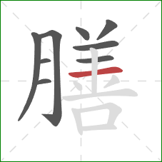 膳的笔顺第9画：横