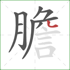 膽的笔顺第10画：点