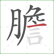 膽的笔顺第12画：横