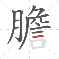 膽的笔顺第14画：横