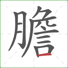 膽的笔顺第17画：横