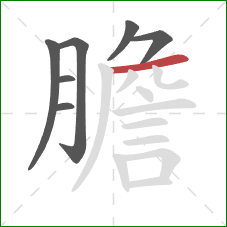 膽的笔顺第7画：横