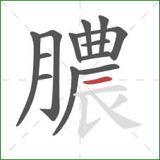 膿的笔顺第13画：横