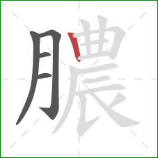 膿的笔顺第5画：竖