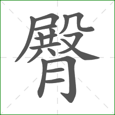 臀的部首 臀的部首