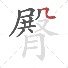 臀的笔顺第11画:横折弯 臀的笔顺第11画:横折弯