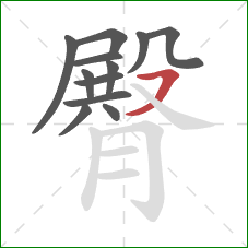 臀的笔顺第12画:横撇 臀的笔顺第12画:横撇