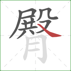 臀的笔顺第13画:捺 臀的笔顺第13画:捺