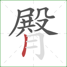 臀的笔顺第14画:竖 臀的笔顺第14画:竖