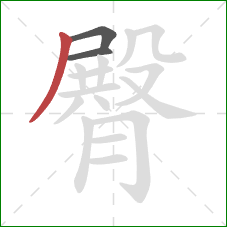 臀的笔顺第3画:撇 臀的笔顺第3画:撇