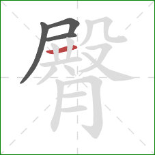 臀的笔顺第4画:横 臀的笔顺第4画:横