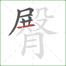 臀的笔顺第7画:横 臀的笔顺第7画:横