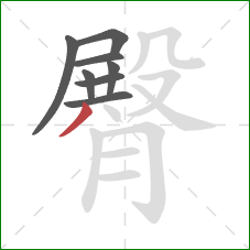 臀的笔顺第8画:撇 臀的笔顺第8画:撇