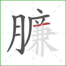 臁的笔顺第10画：横