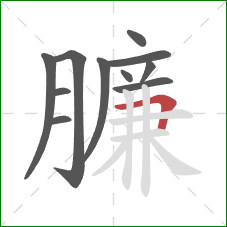 臁的笔顺第11画：横折