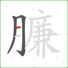 臁的笔顺第3画：横