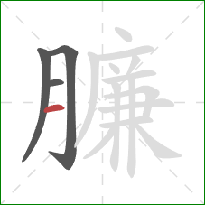 臁的笔顺第4画：横