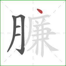 臁的笔顺第5画：点