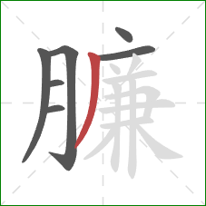 臁的笔顺第7画：撇