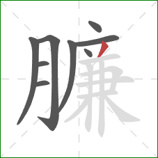 臁的笔顺第9画：撇