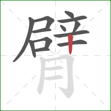 臂的笔顺第13画:竖 臂的笔顺第13画:竖