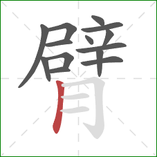 臂的笔顺第14画:竖 臂的笔顺第14画:竖