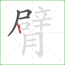 臂的笔顺第4画:竖 臂的笔顺第4画:竖