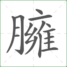 臃的部首 臃的部首