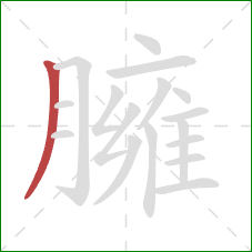 臃的笔顺第1画:撇 臃的笔顺第1画:撇